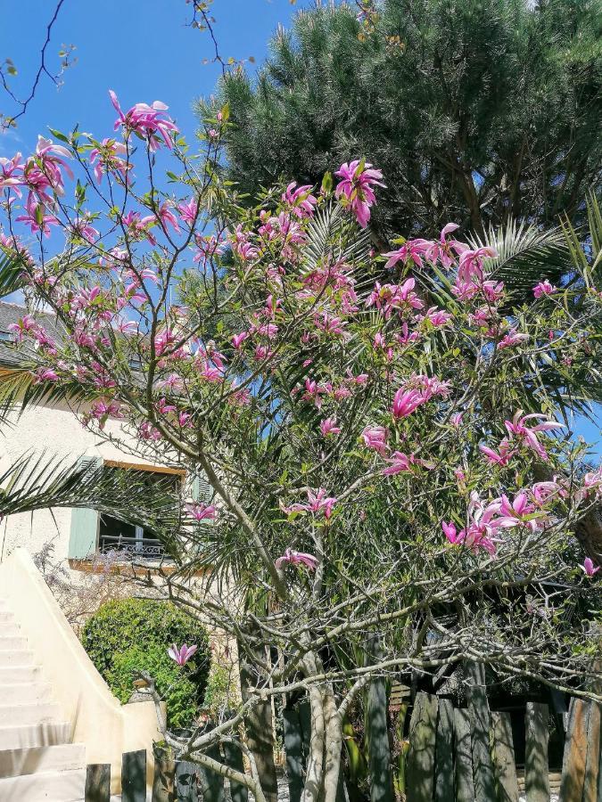 Guest House Dans Jardin Exotique Proche D'Une Voie Verte Morlaix Luaran gambar